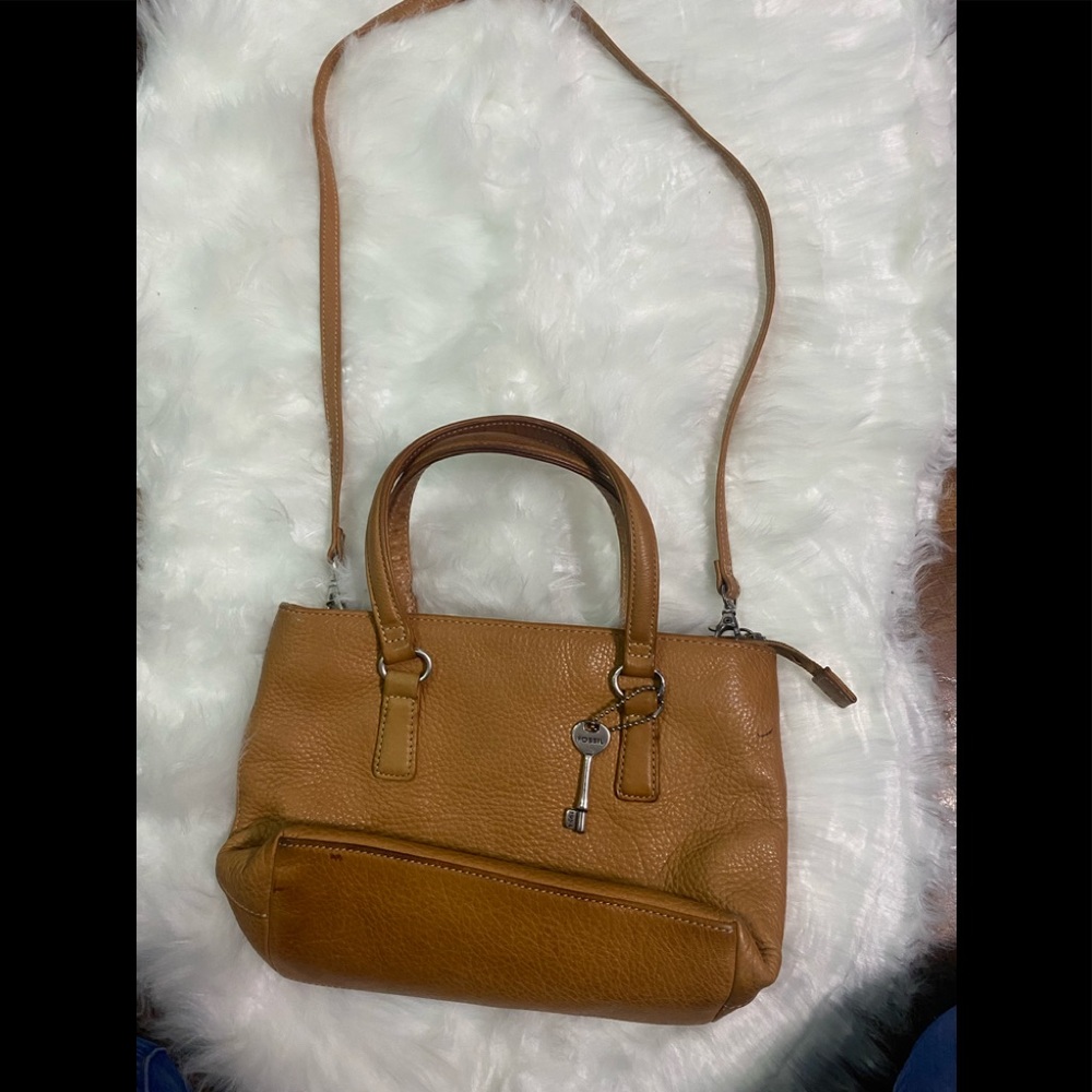 FOSSIL BAG